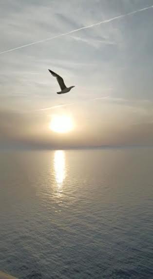 Armareaoverseassuites 1 Fiumicino Ngoại thất bức ảnh